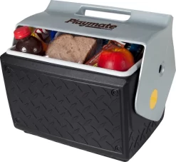 Igloo Playmate The Boss Passieve Koelbox - 13,2 Liter -Sport Buitenkamperen 00043581 p resultaat