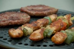 Cobb Premier+ Gas Gasbarbecue - Grijs -Sport Buitenkamperen 1263 1900 dsc 0474