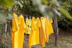 Easy Camp Edendale 600 Tunneltent 6 Persoons - Grijs -Sport Buitenkamperen 1267 1900 waslijn 1