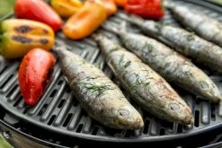 CADAC Grillo Chef 40 Gasbarbecue - BBQ/Chef Pan 23 CADAC Grillo Chef 40 Gasbarbecue - BBQ/Chef Pan -Sport Buitenkamperen 900 1348 grillo chef 40 bbq grid