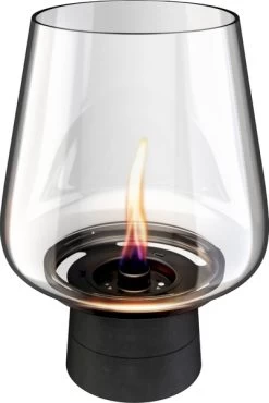 Tenderflame Amaryllis 25 Tafelhaard - Zwart