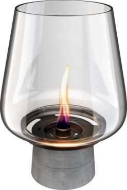 Tenderflame Amaryllis 25 Tafelhaard - Concrete