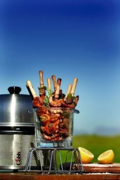 Cobb Premier+ Gas Gasbarbecue - Grijs -Sport Buitenkamperen cobb premier 3 1